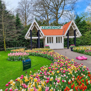 Keukenhof Garden Collection