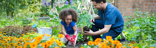 Gardening as an Analog Hobby 1