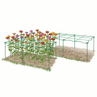 Cut Flower Grid Support