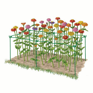 Cut Flower Grid Support