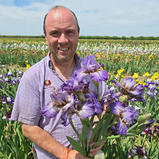 Make a Splash Bearded Iris