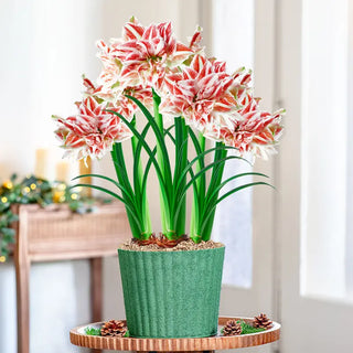 Homegrown Holiday Amaryllis