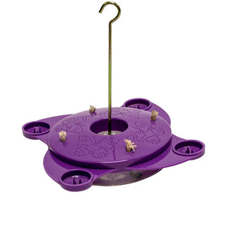 Butterfly Feeder Nectar