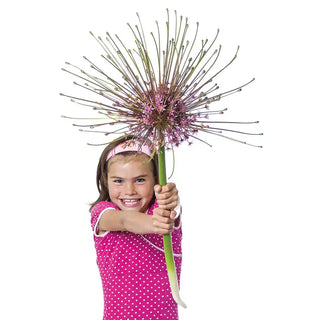 Schubertii Allium
