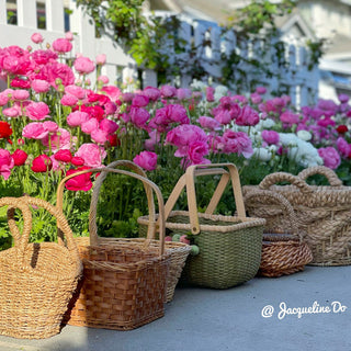 Ranunculus Mixture