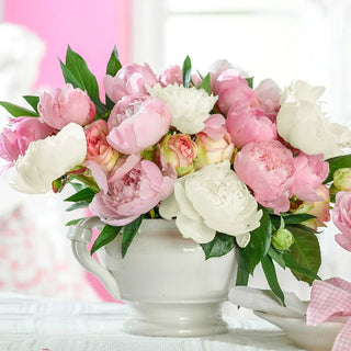 French Blend Peony Mixture