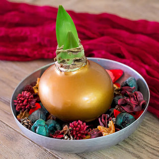 Fragrant Display Set
