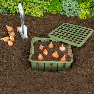 WellBuilt™  Bulb Planter