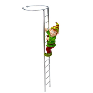 Climbing Character Amaryllis Stakes