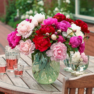 Cut Flowers